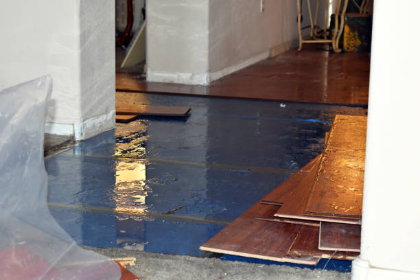 Professional Flood Damage Restoration technician working in Hampton Bays, NY